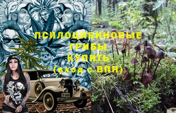 первитин Михайлов