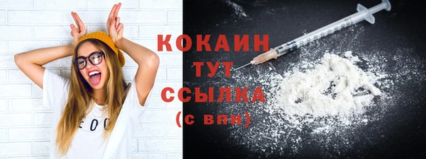 первитин Михайлов